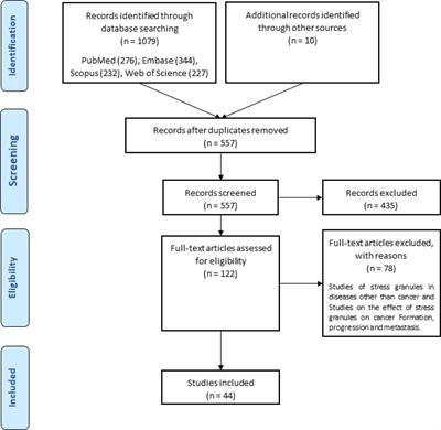 Stress Granules in the Anti-Cancer Medications Mechanism of Action: A Systematic Scoping Review